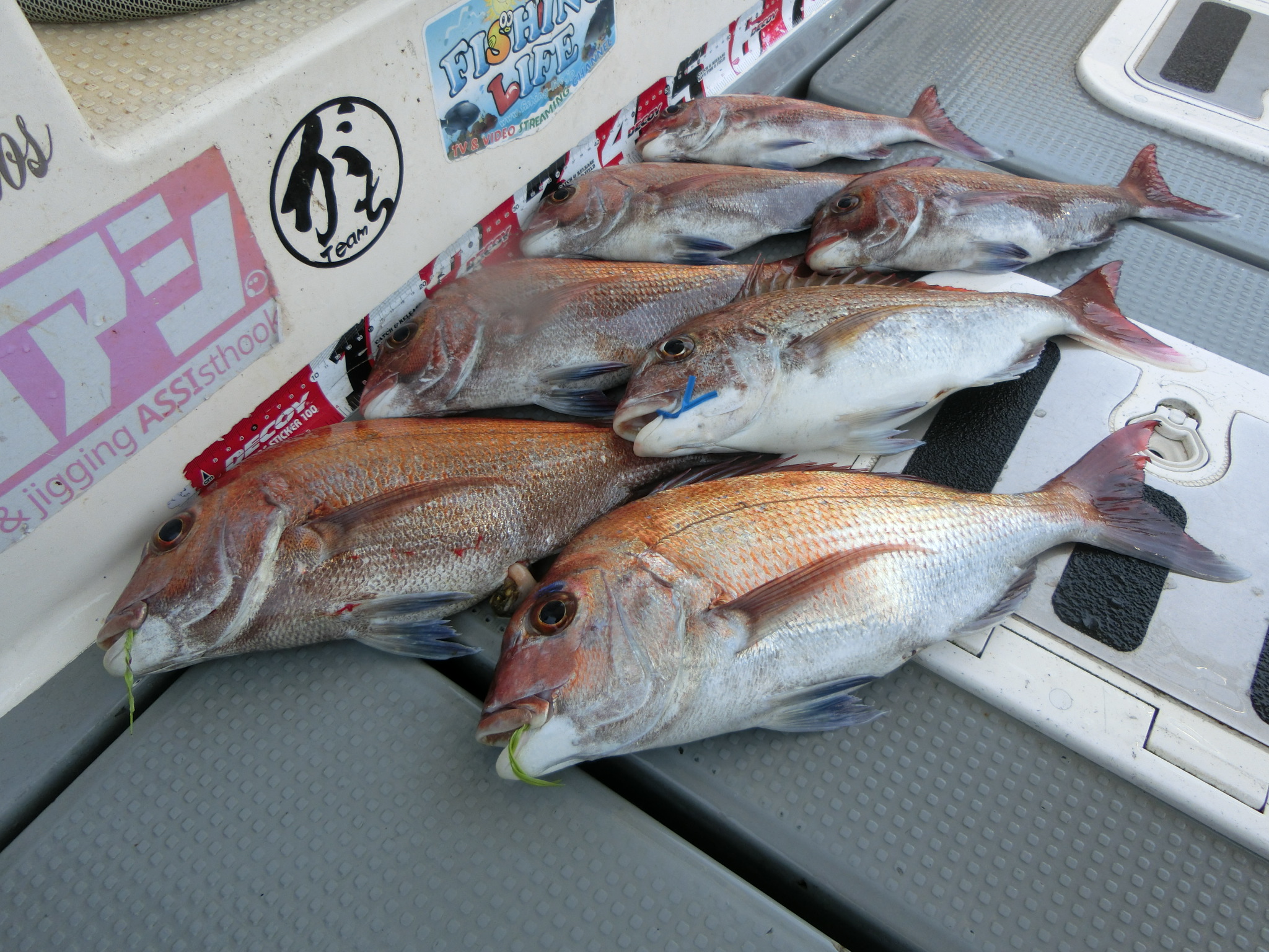 20240520105944-admin.jpg